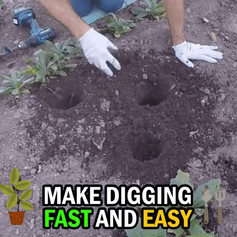 4b5df3149e8eef5d2202e28c6179a610