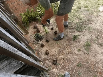 5f03fbb4ccdb897ee48028ff3ba1881f69e3fe85