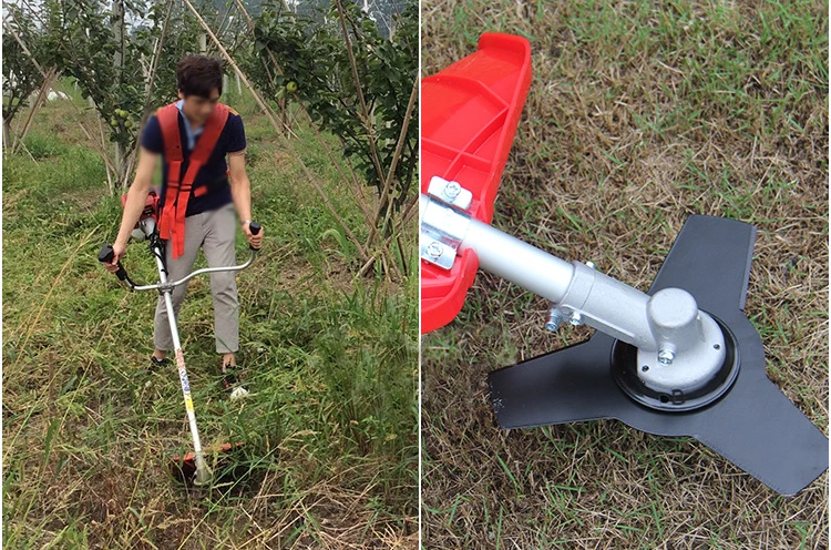 H19fd809f215c44028e706bcda2cb49c5f