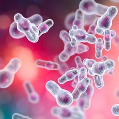 Clostridium Difficile Bacteria 3d Illustration 260nw 784587427 E1759616661159