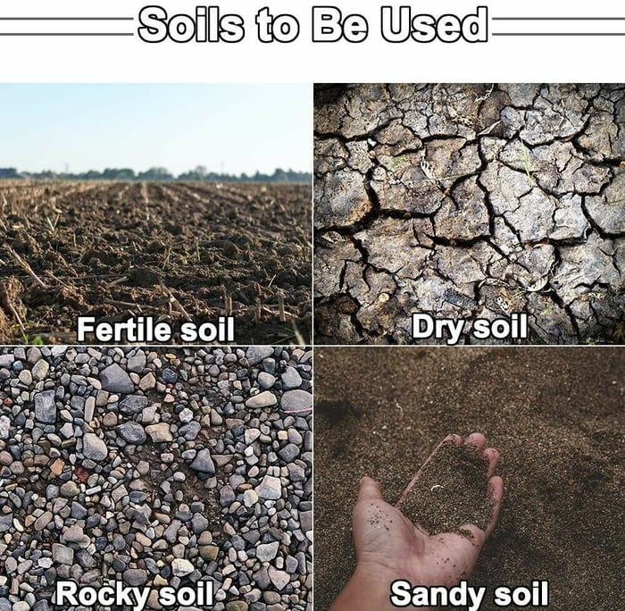 E8a4fe97a9e88cd096c816499c34249e 700