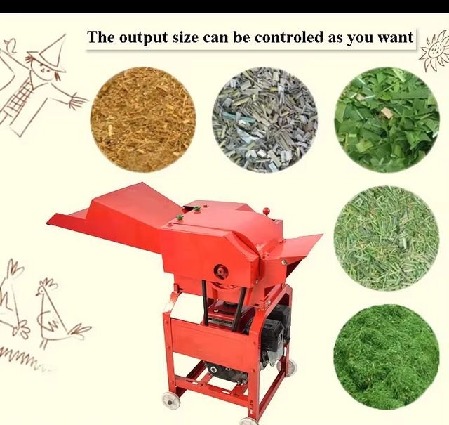 Five samples of chopped feed from coarse straw to fine grass, next to the chaff cutter